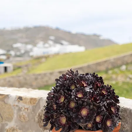 Ikade Mykonos Daire Mykonos Town Dış mekan fotoğraf
